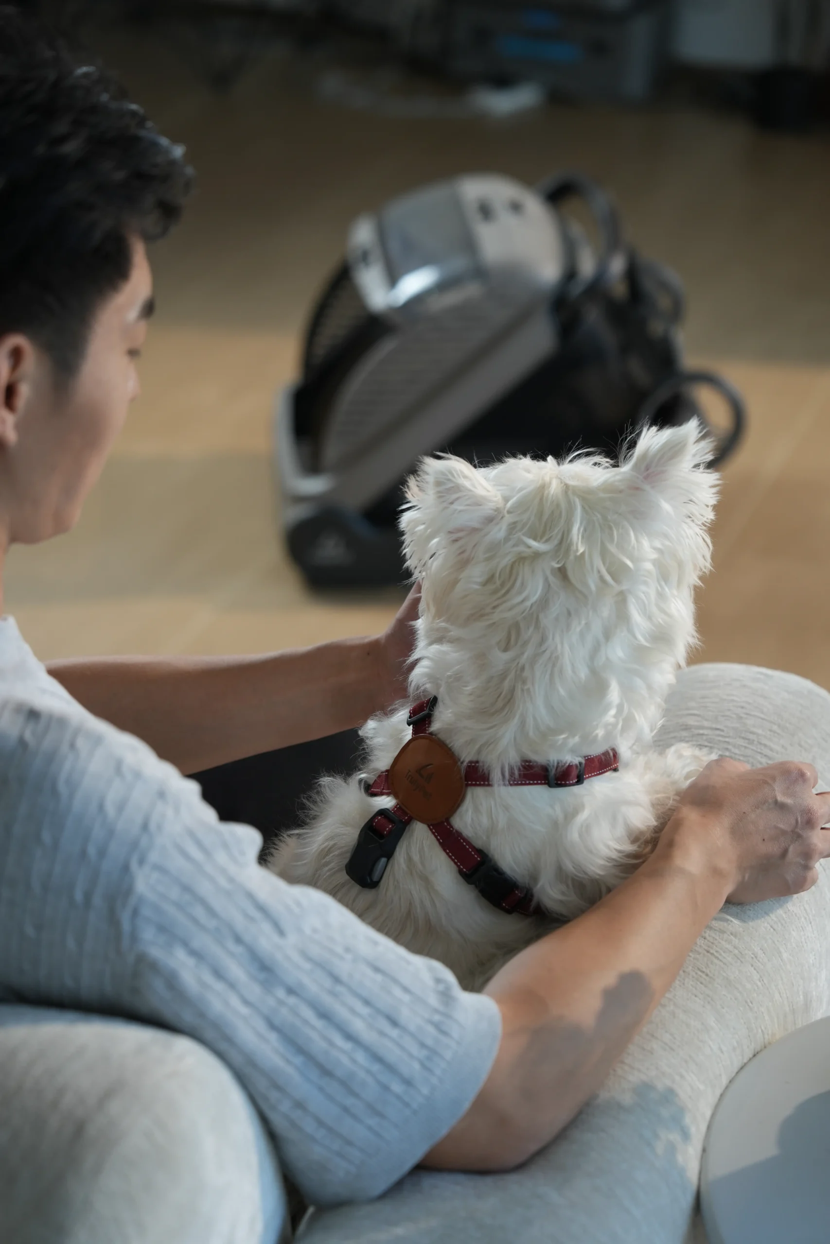 Man relaxing on a sofa with his white dog, the TrulyPet Explorer parked behind them
